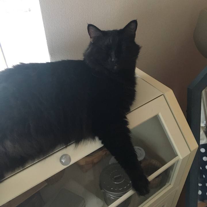 C54a3749 ca9d 4ce7 892a f064dd2fae1a 1561775475592