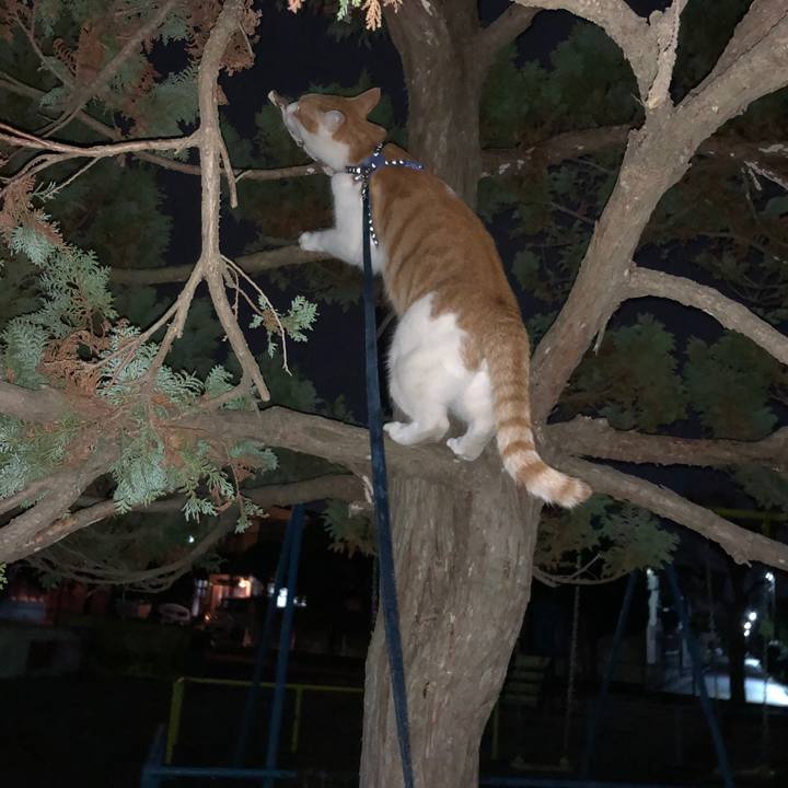 C54a48c0 2ab6 4846 8ef2 9980d14d842c 1542814219837