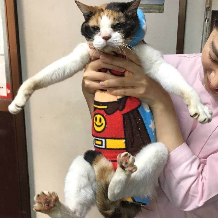 C54a62b4 3eef 4e41 81d3 ceba27a7b177 1541045521921