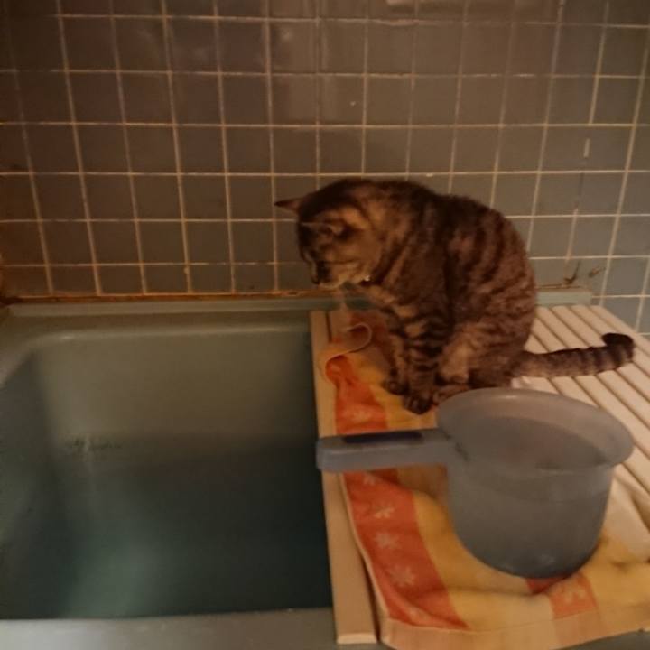 C54ab955 6694 458b a094 969a859edd11 1572602225039