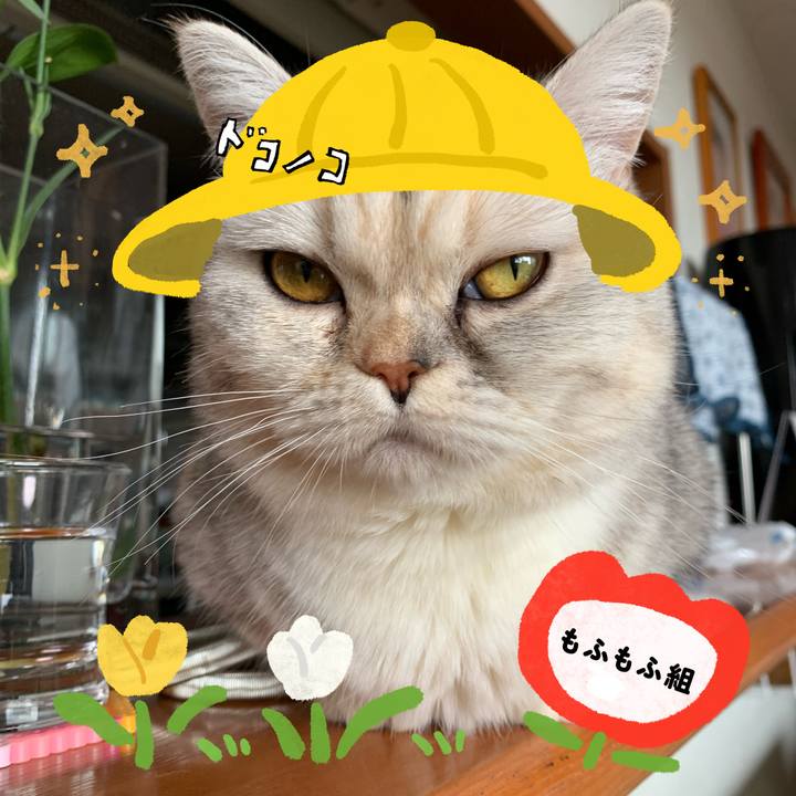 C54ab9c9 26fd 47b3 bc16 d2236f6f430e 1712531573817