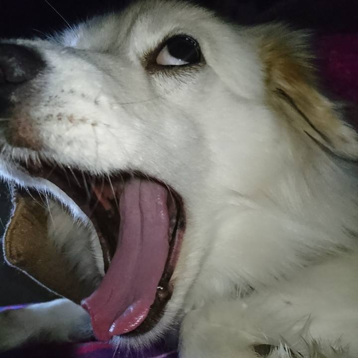 C54abeef 8065 4d55 a7f0 95eff5d9ad6b 1517086344389