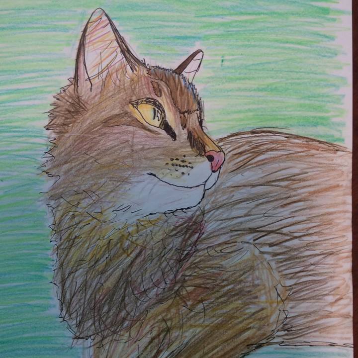 C54ac744 8e96 49c2 9a2f c2e5ccc5b1d1 1574631447527