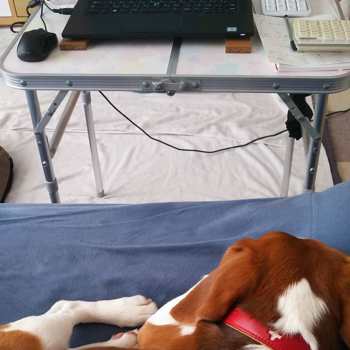 C54ac7d8 427c 4486 9235 3068018d8d83 1623026327309