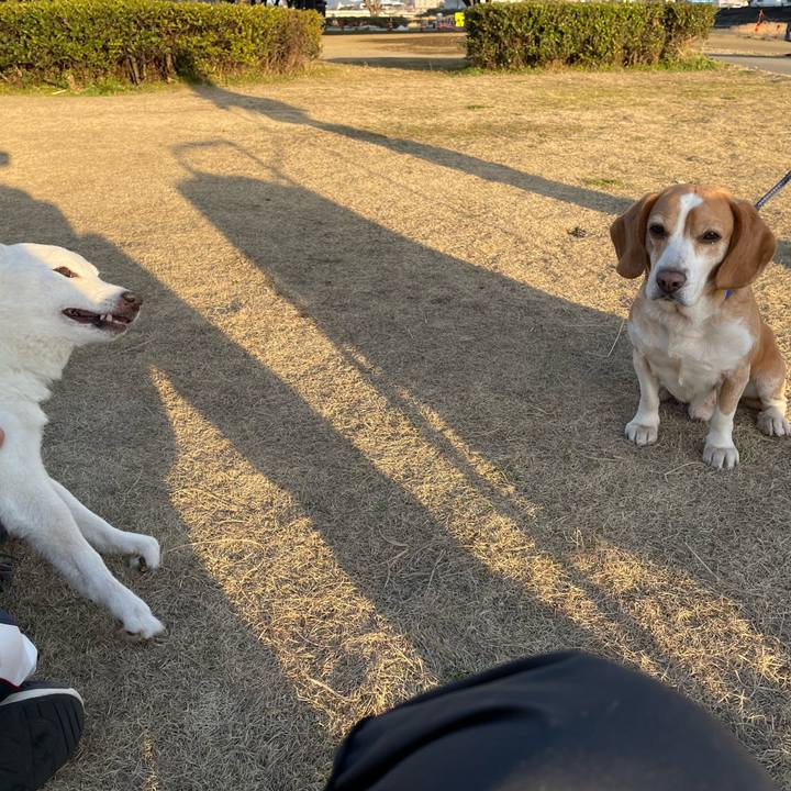 C54adcef 8b11 4d91 a159 ab39f251b587 1676638308728