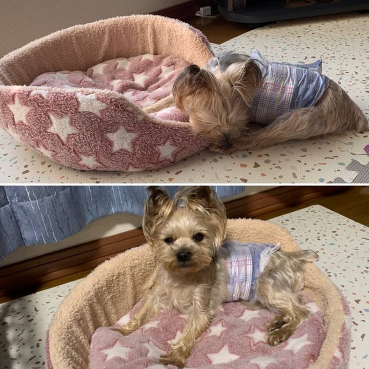 C54b04d4 7aaf 4b37 9f03 e45b9b36557c 1664875780635