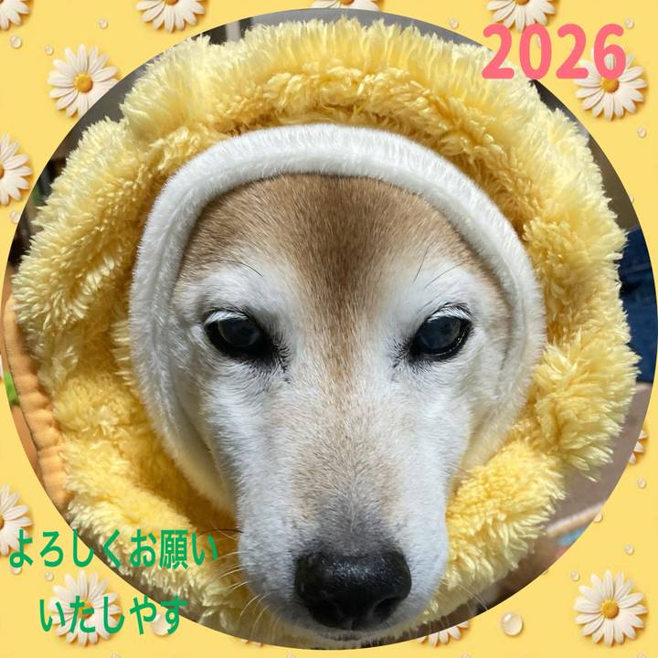 C54b072a af70 4e0c a903 aabd2e13a796 1767226599978