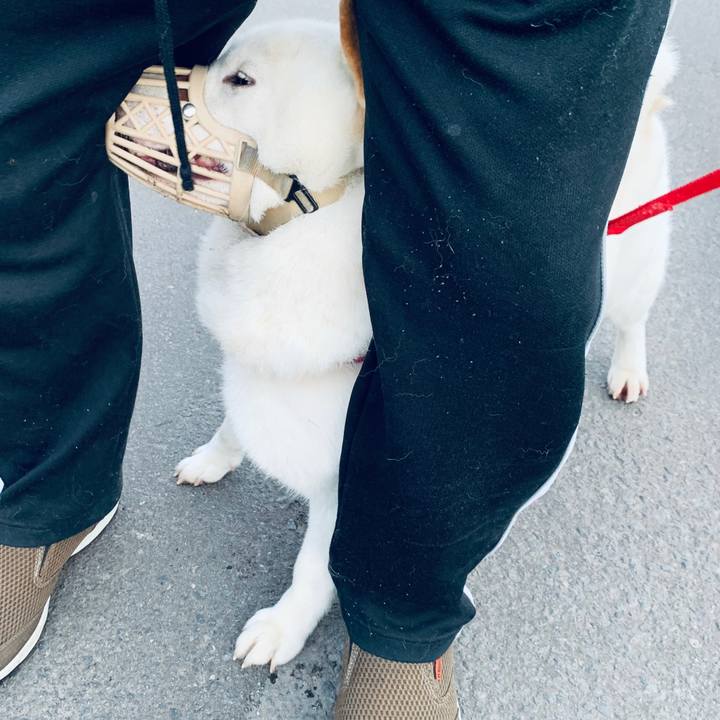 C54b57ac 6bcc 4d40 8c50 1a9f427a8569 1593039905925