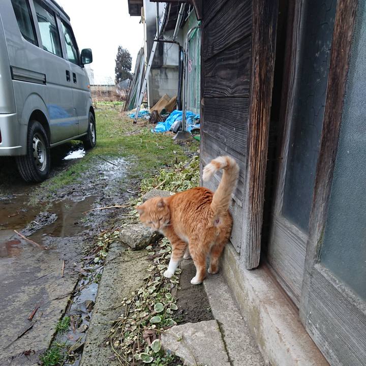 C54b65a8 784c 4808 b2ed b08a115dd005 1581839211682