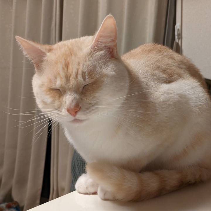 C54b9271 4e41 4f1c 8894 8f9b20195e9f 1700219604335