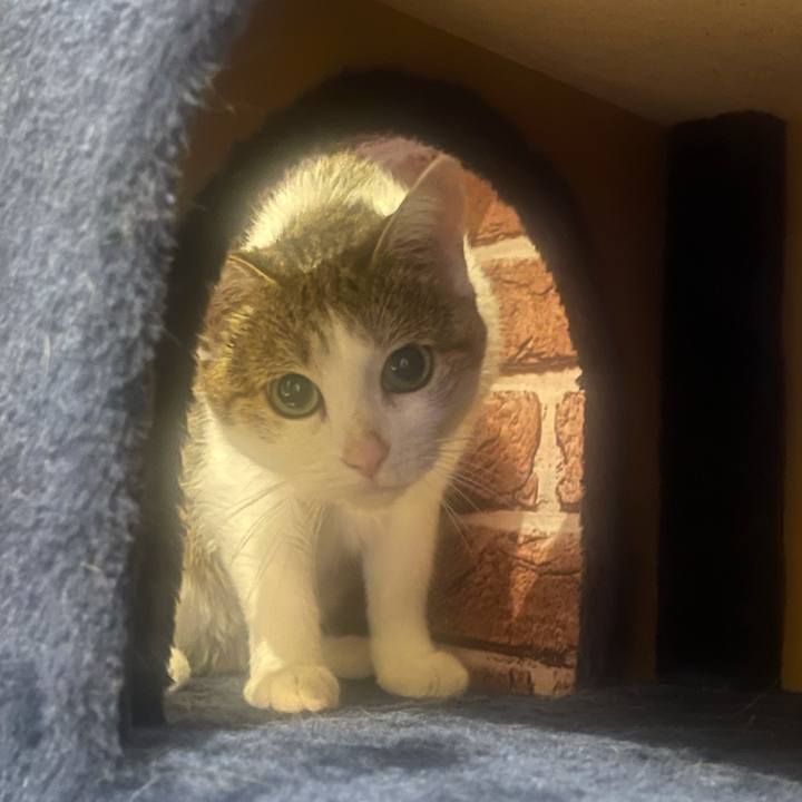 C54bc7bc 8b9c 41d4 8eec 42f0493ce7d7 1632169742115