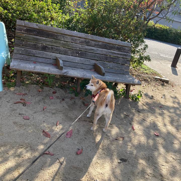 C54bcad1 3d58 4d5c bbf8 19e61de23a9d 1637146824102