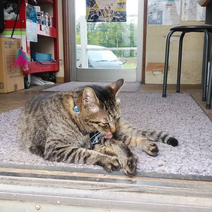 C54c0ad4 b237 464c a077 8d0b646f4ed5 1568421910132