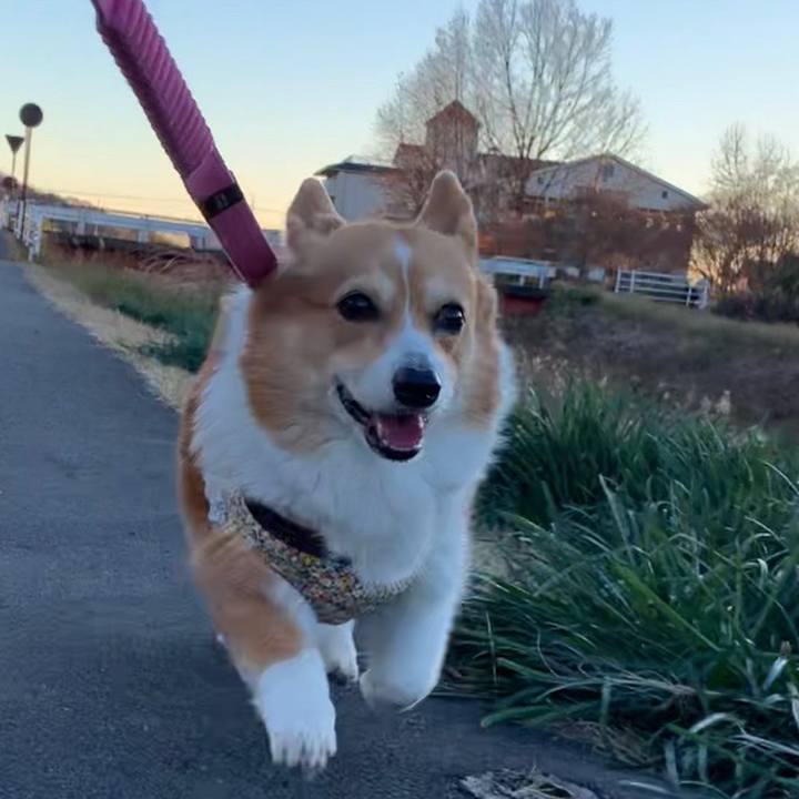 C54c1c4e 4364 4366 8918 0527f8d77a04 1671005691108