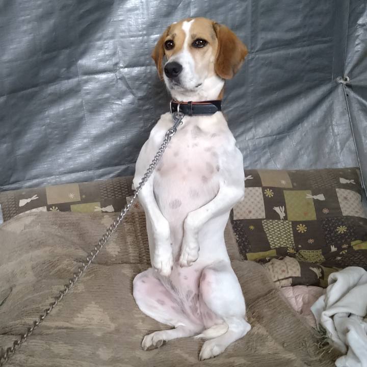 C54c2965 b351 4b07 87a5 8745597b5a80 1631608173435