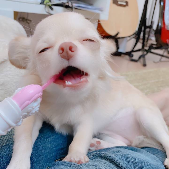 C54c44f7 9b6e 4540 a113 d05ec11c40b4 1601530033118