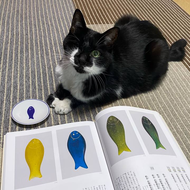 C54cf3a3 a28d 4704 b261 2ea37a5aa5ae 1731204194708