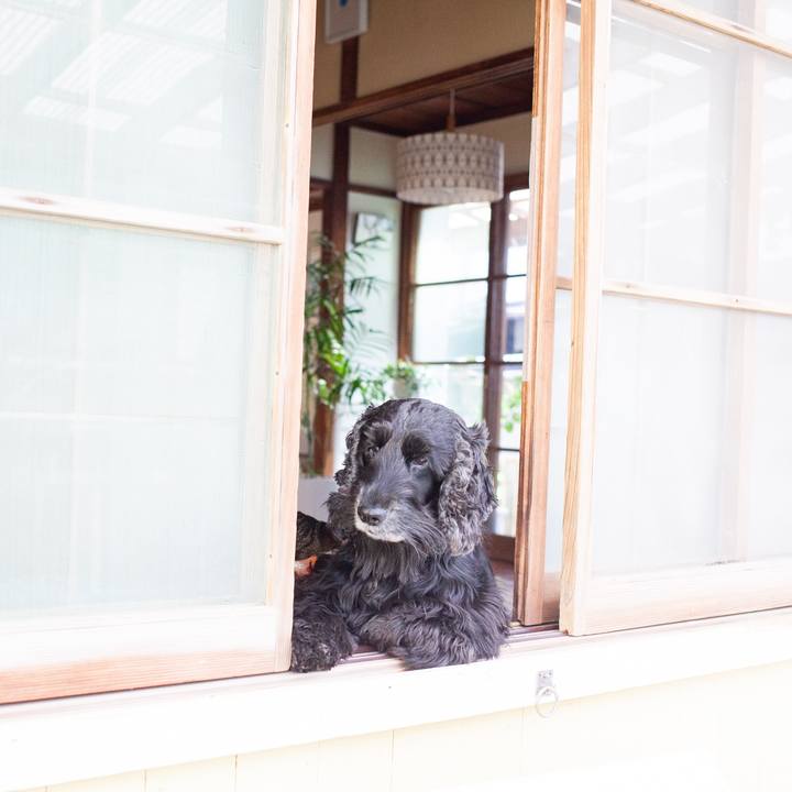 C54d1a58 a509 4312 bcf0 56d4ff2b6398 1552881716249