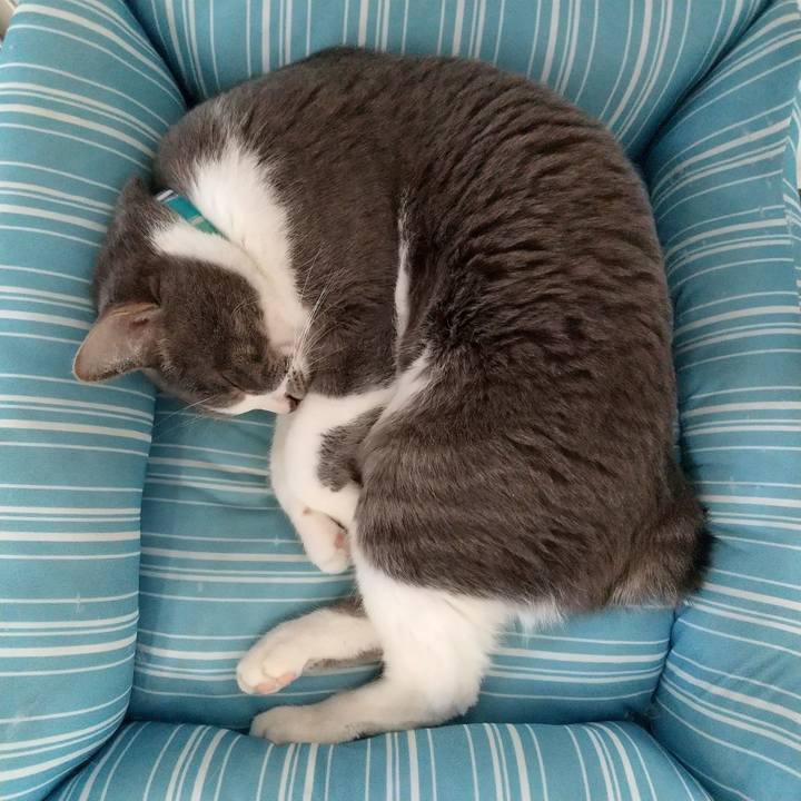 C54d74a5 65a1 4f0e 96cc a5987b6e69da 1644289369501