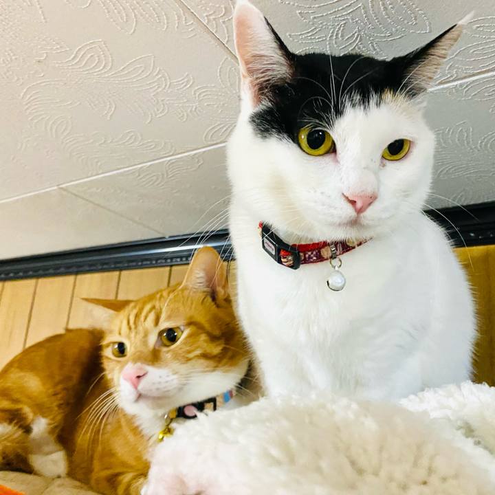 C54dcabe 7641 4880 9541 f02a4045a12e 1670419163476