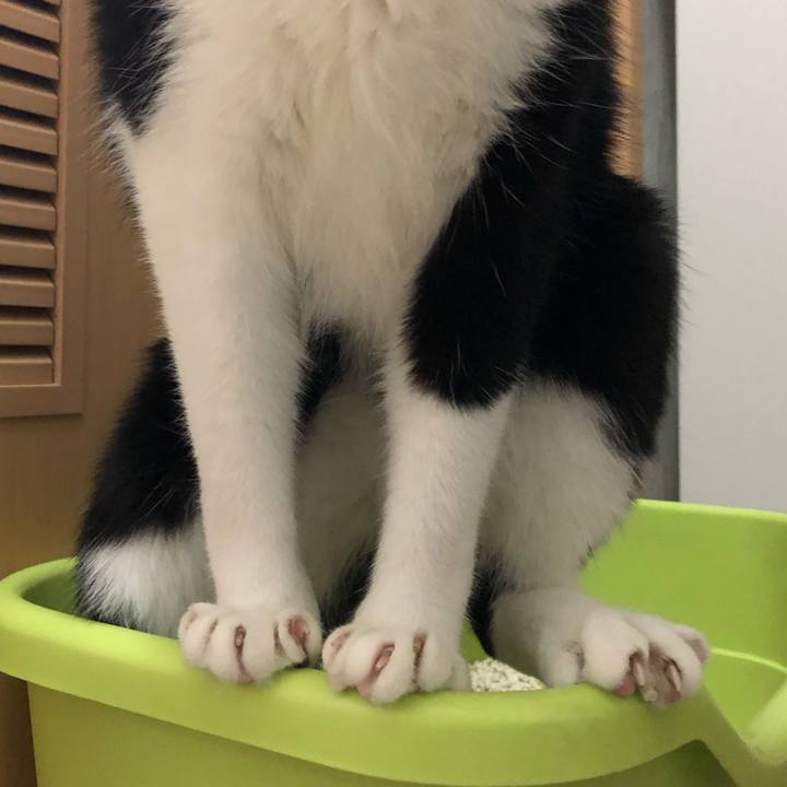 C54dcc9f 1e89 4c09 82c0 a7645c32495a 1572698819877