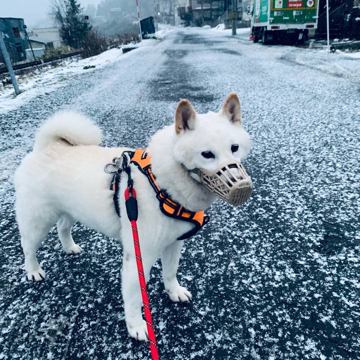 C54de932 e104 4875 abfa 8c099f4cb3f4 1639553019116