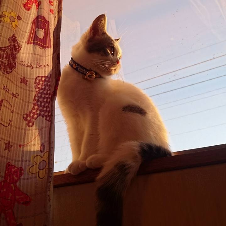 C54df9c6 86fe 47d7 b670 631d3e6f7a39 1541021317324