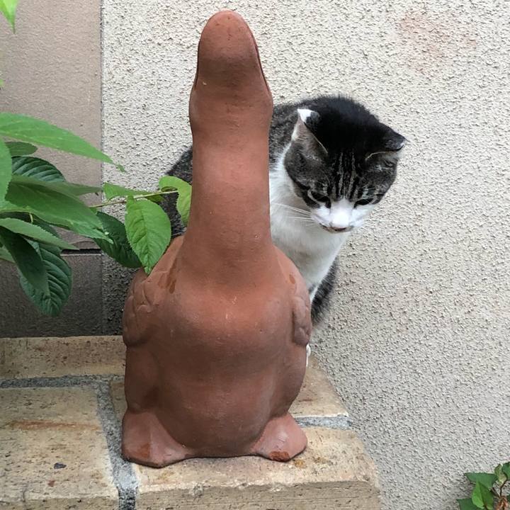 C54e5764 43c7 408c a0ec 75a31dc59bb4 1560339159379