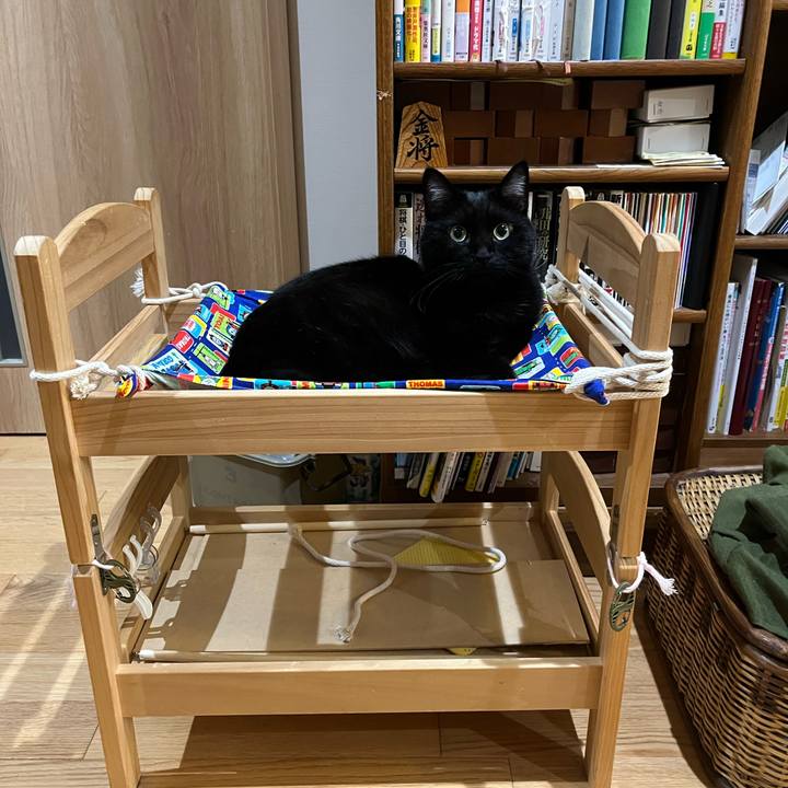 C54e6c32 d96c 4a23 a098 38a13ec9dc79 1725192754435