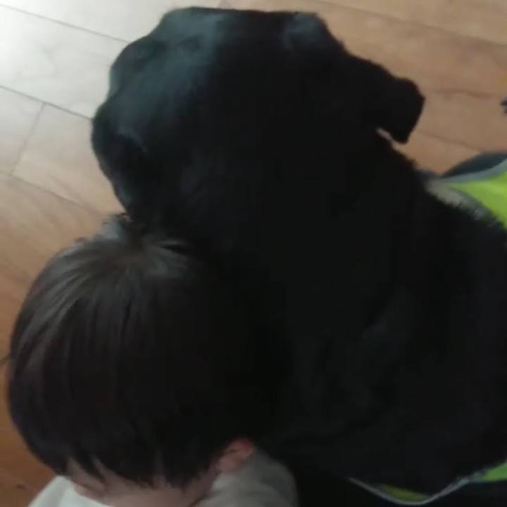 C54e6dd1 fc91 40ff 88fc 522ffedb7570 1636595076223