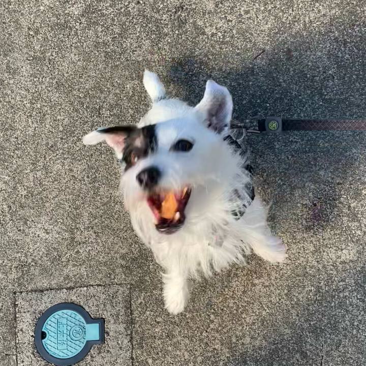 C54e8815 40ae 47e5 8cbe e2fe1706b934 1698104654063