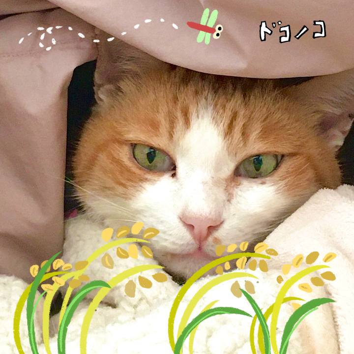 C54e94f2 434d 410c 931c bcf75f6fabb6 1761735568983