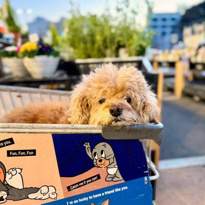 C54e9cd5 e098 4542 8534 ae767c04cc55 1764202078690