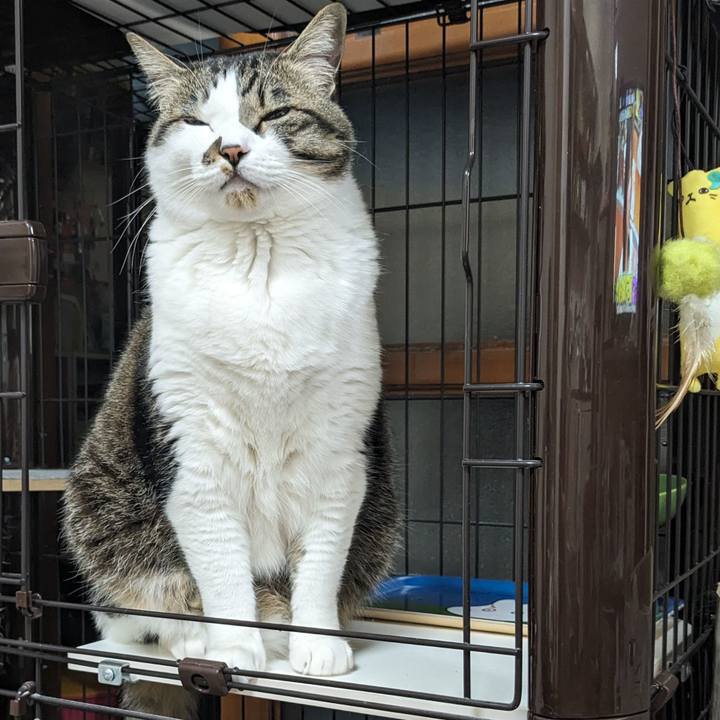 C54ec863 f586 4cda 9546 9889b20aa568 1712661889236