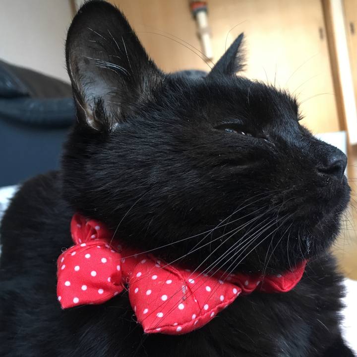 C54ed8b5 b89e 4ea0 8685 279bfb66974c 1552779155243