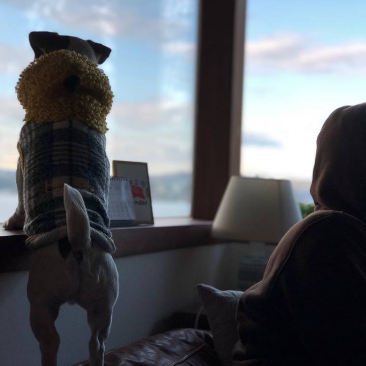 C54eee75 efea 4fbd 8c09 be0026b0bc38 1546329184485