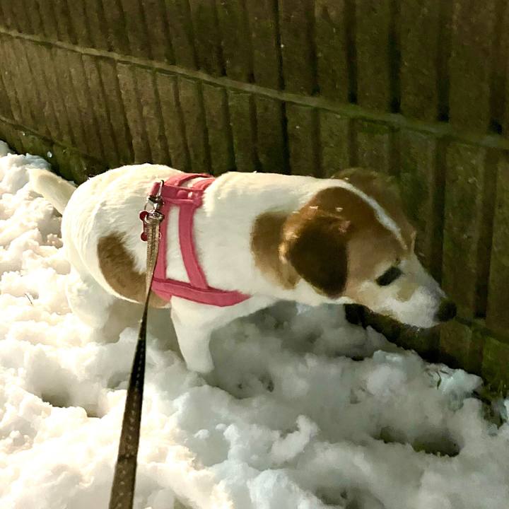 C54ef959 e0e1 4750 97d4 13bc8e8537be 1707140003432