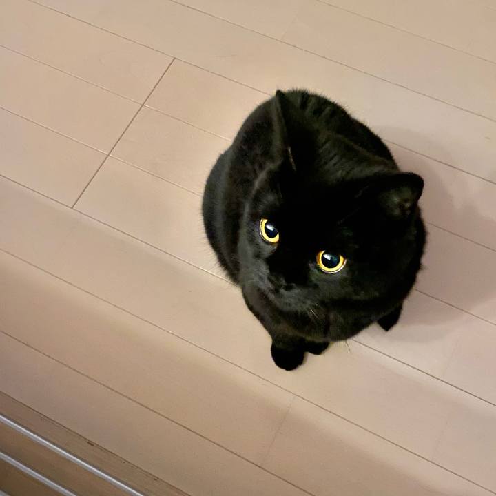 C54f1a2d 2023 4c5d 8c92 bbd5d1e9d924 1694869567366