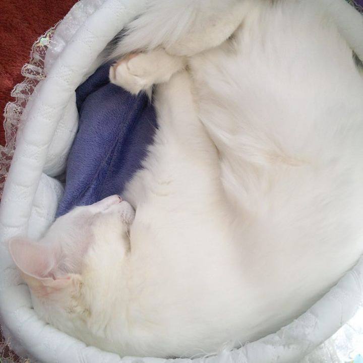 C54f21f7 2886 4cbd a0ef 1cddb4b67773 1679679986602