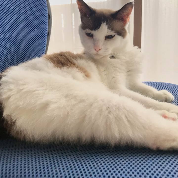 C54f34e9 b88d 4862 bc1b bad67ae31990 1629072817323