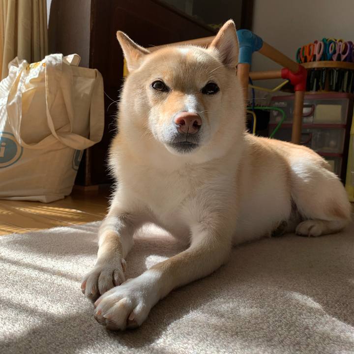 C54f4df2 794a 48f4 bf63 95efd1512b53 1633306796092