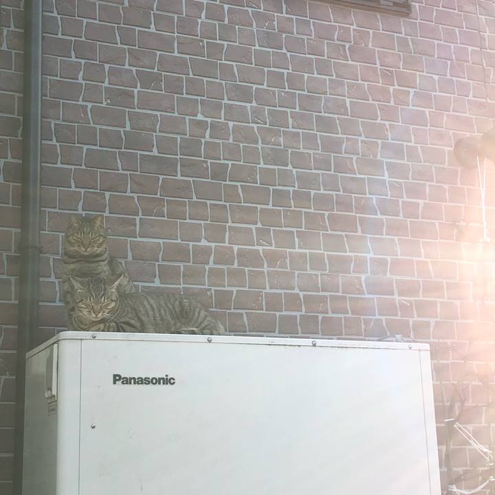 C54f5a67 de7b 4813 97d2 690fbca5bf4a 1545277430777