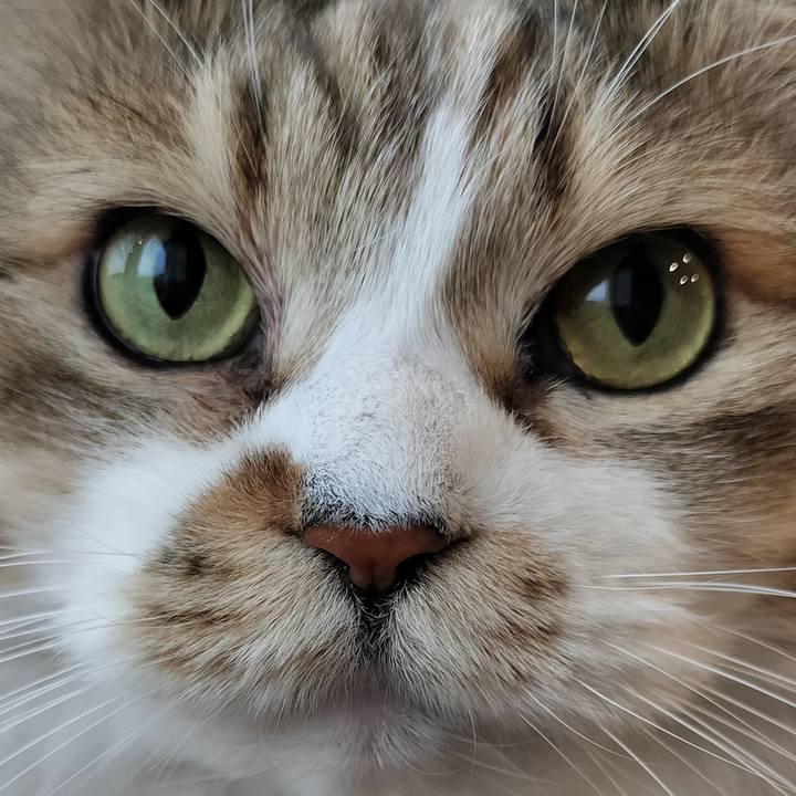 C54fa212 ad17 4cc6 bd6b de856a741065 1770471820424