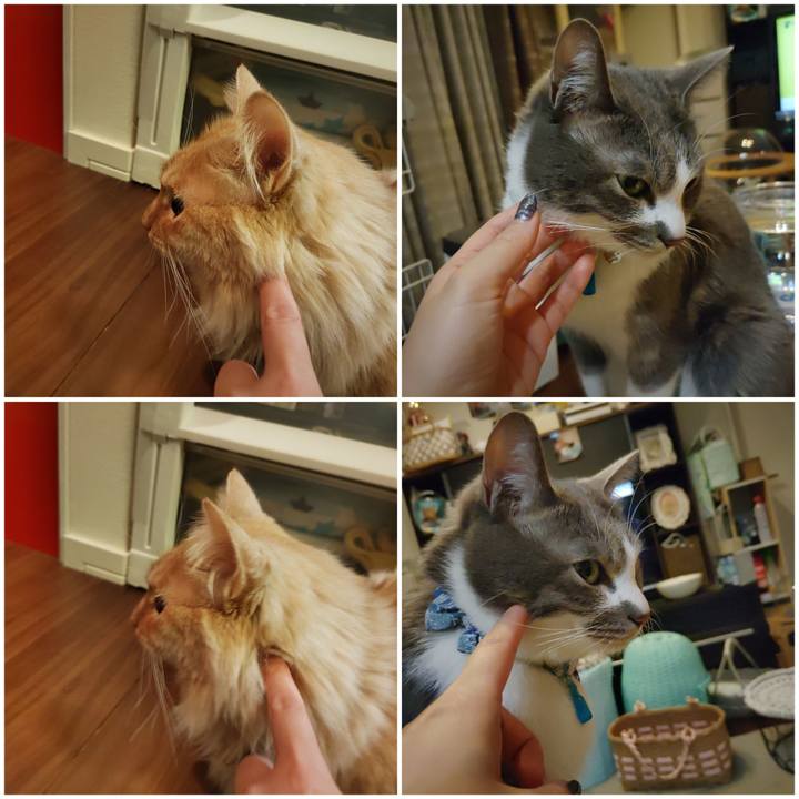 C54fa504 bbee 4270 aa57 17db2c4e4911 1672403128380