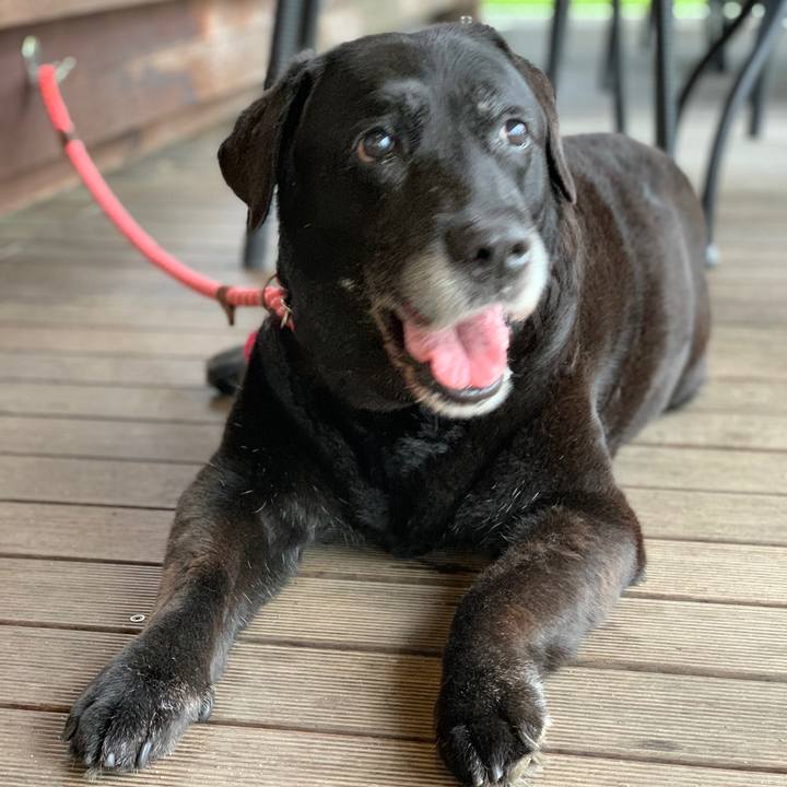 C54ff40b d627 4e45 b524 fcaf78e430ac 1592046264111