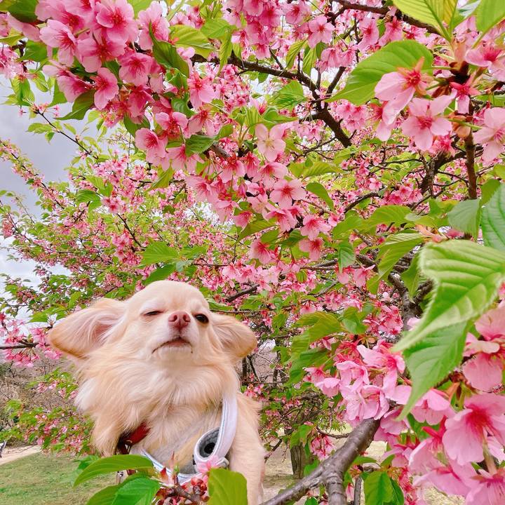 C550075d 81f2 403b 855f 1161574bebb6 1647694637200