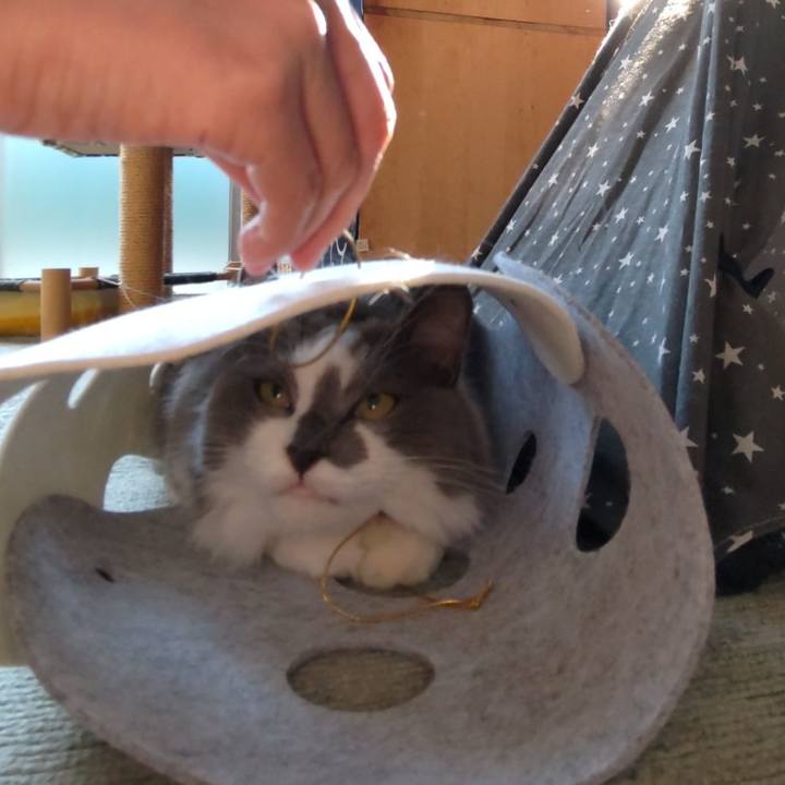 C5500b2c c07b 458d b3ee 42b390c3bd18 1698218634051