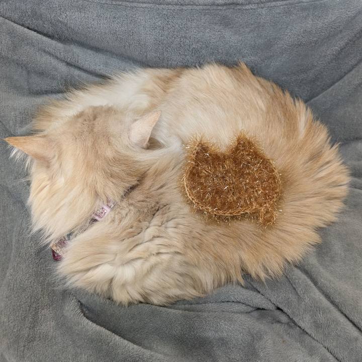 C5500d2a a619 44e6 8196 910de2b3281d 1769228609822