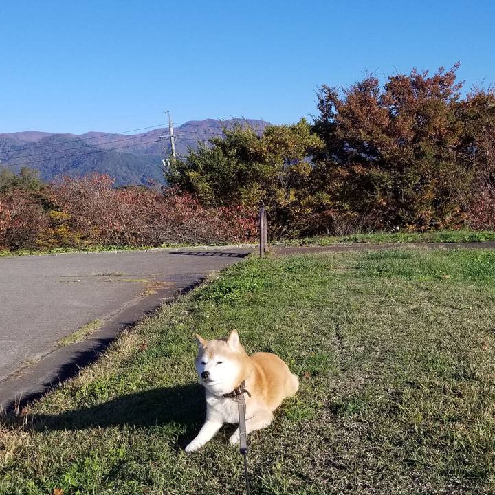 C55011f8 fb95 4997 b409 71e582853304 1697955811374