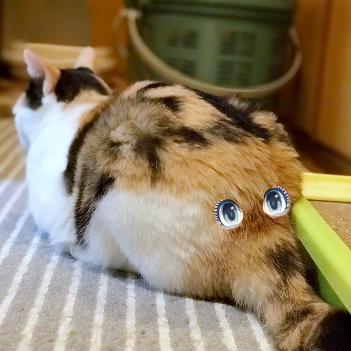 C55012d3 7bdc 45f8 9973 9ca24834731e 1534171572746